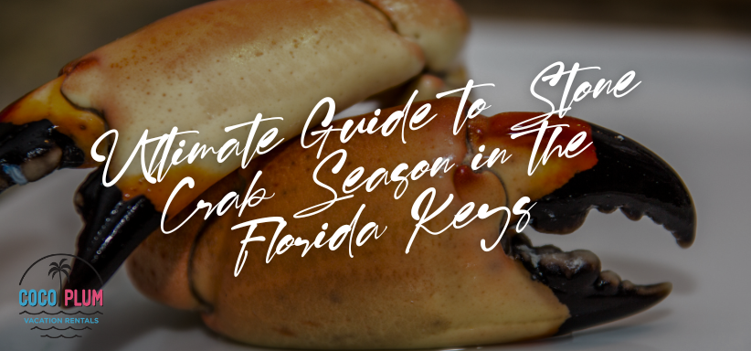 Ultimate Guide to Stone Crab Season in the Florida Keys